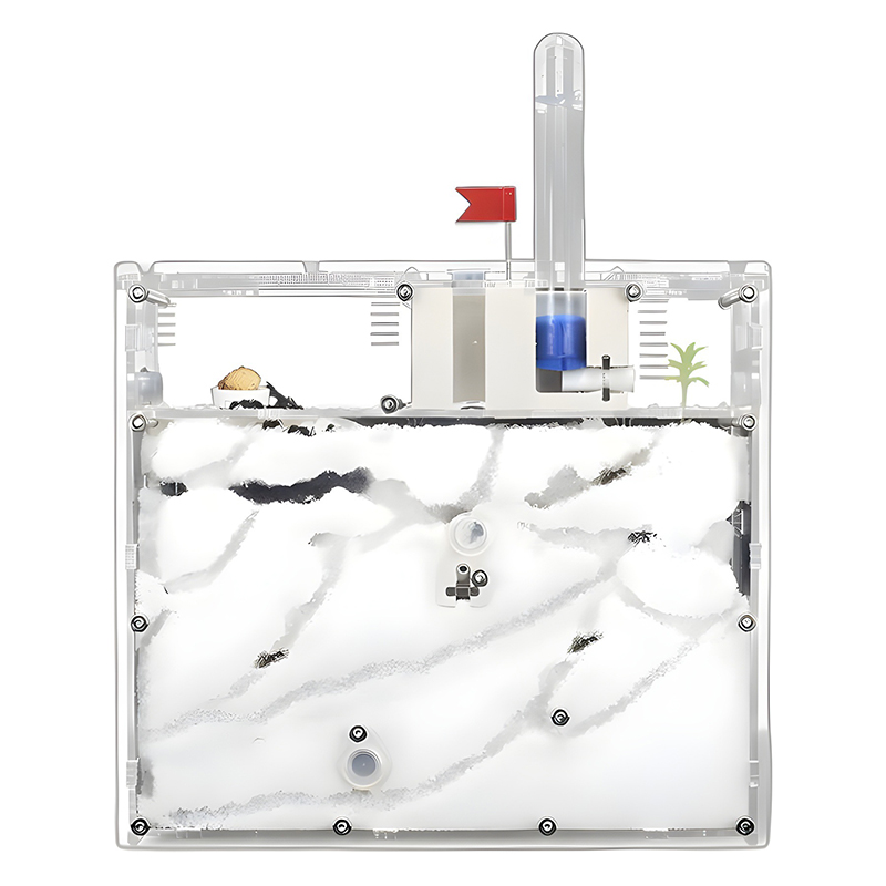 Kingdom Kids Education - Ants Kingdom Ants House Castle Insects
