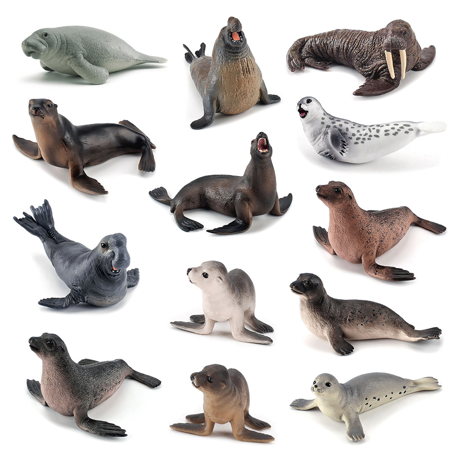 Realistic Dugong Manatee Walru - Kids Education Fun recension och pris