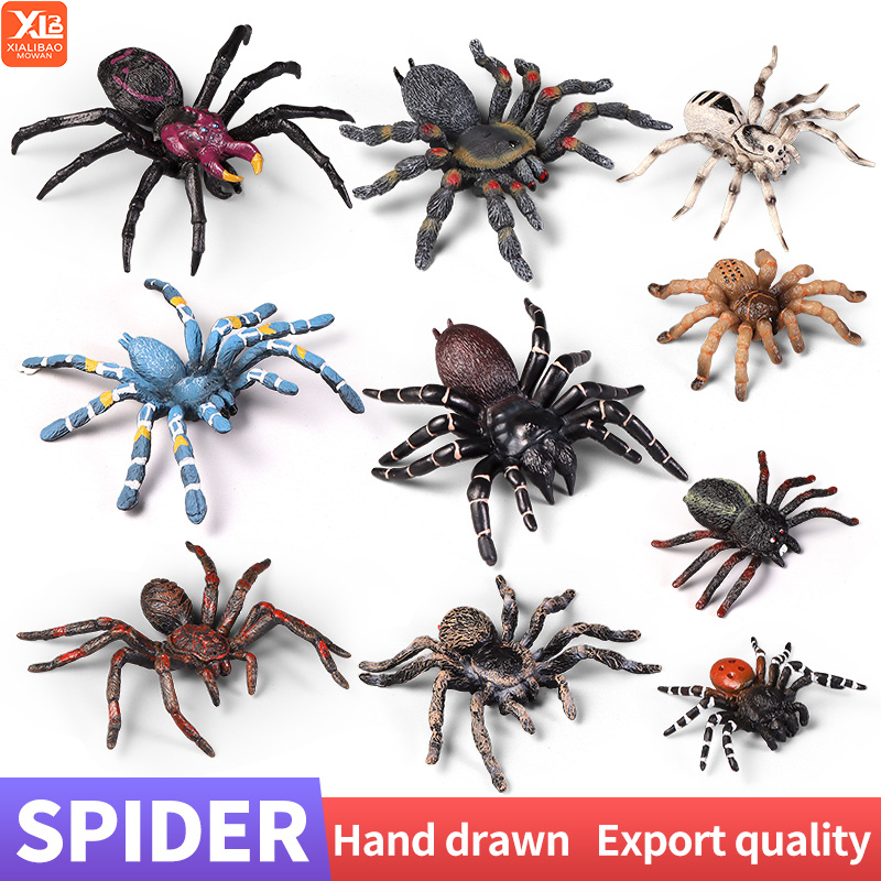 Educational Insect Spider Toys - Kids Education Learn Tv recension och pris