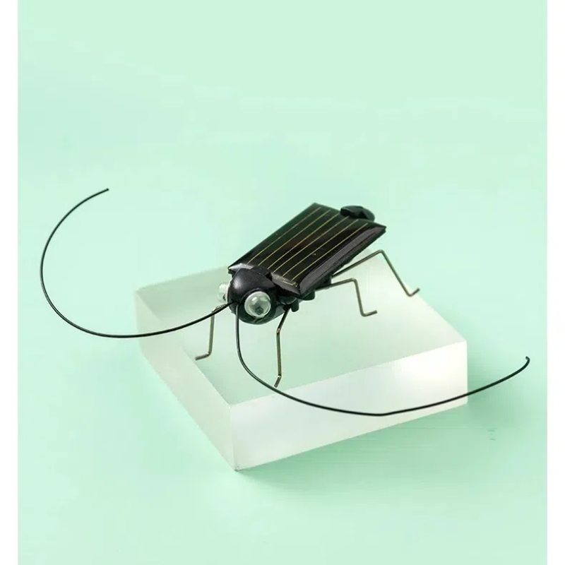 Solar Powered Locust Grasshopp - Kingdom Kids Education recension och pris