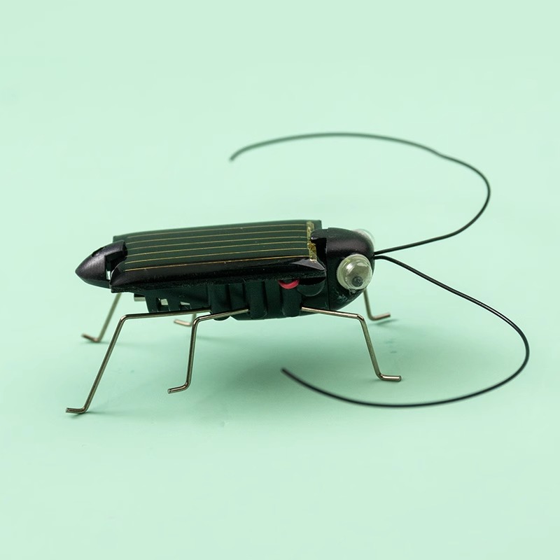 Solar Powered Locust Grasshopp - Kingdom Kids Education recension och pris