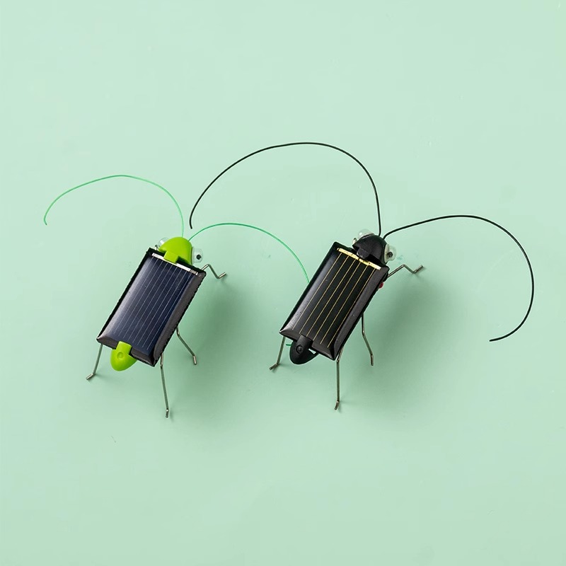 Solar Powered Locust Grasshopp - Kingdom Kids Education recension och pris